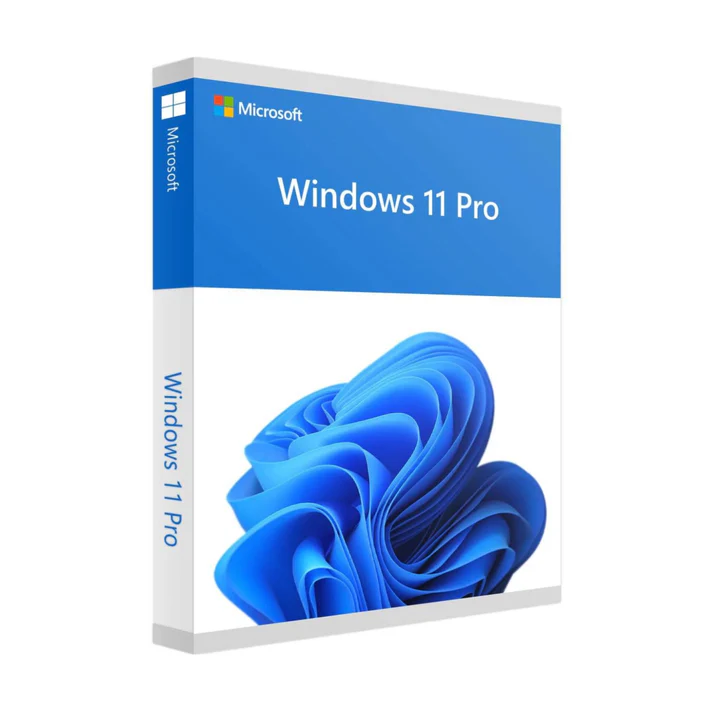 Microsoft Windows 11 Professional