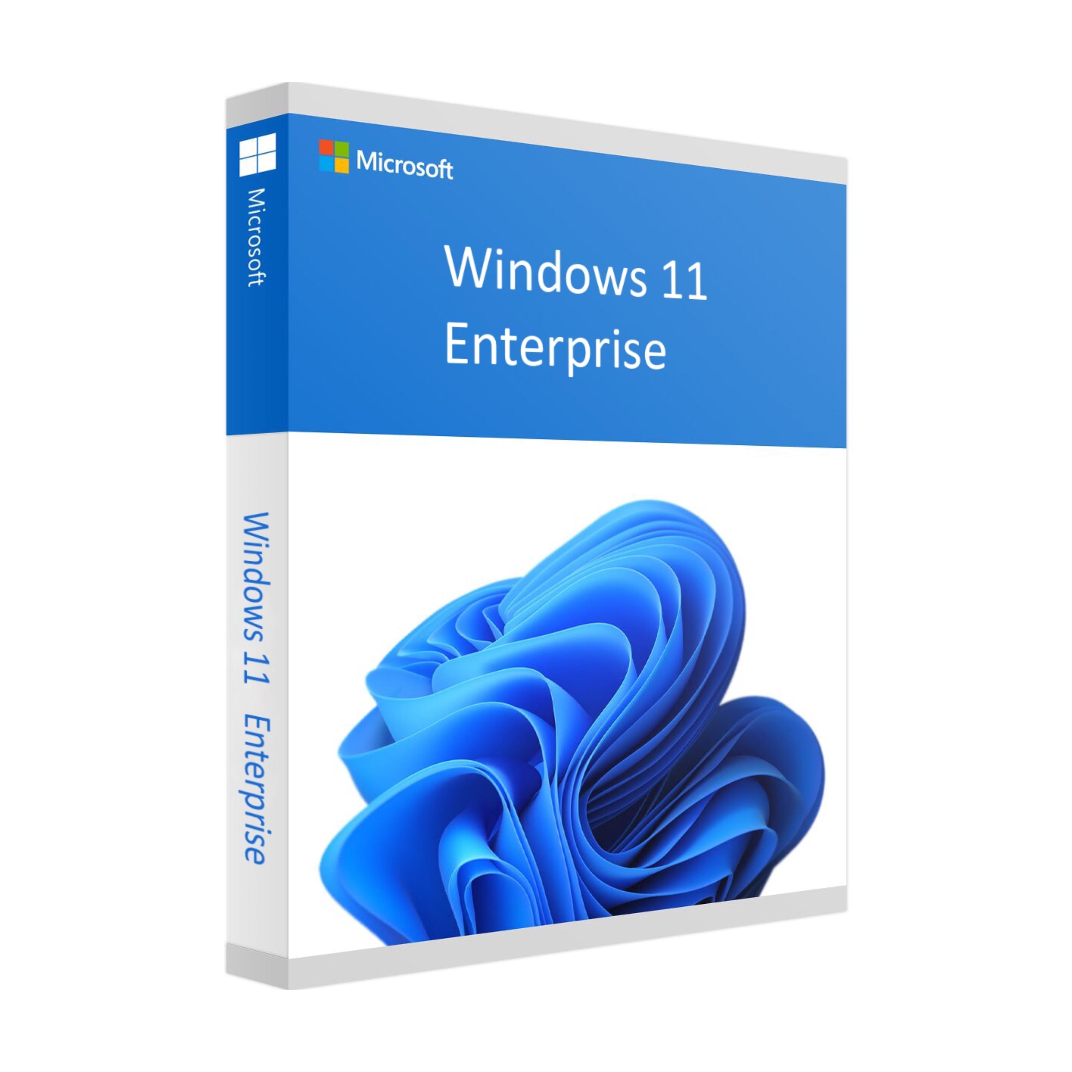 Microsoft Windows 11 Enterprise